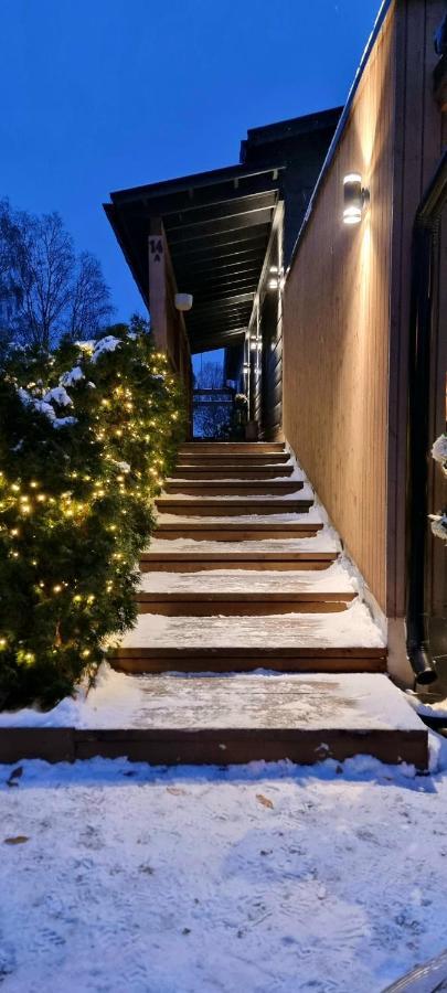 Luxury Villa Rauhankatu Rovaniemi Exteriér fotografie